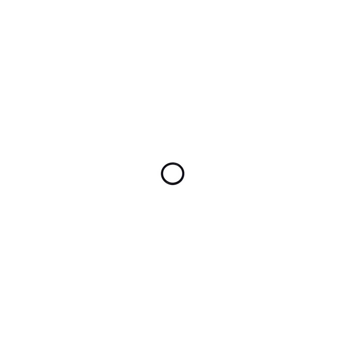 o-ring_zaworu_pompy_cat_3cp_17547