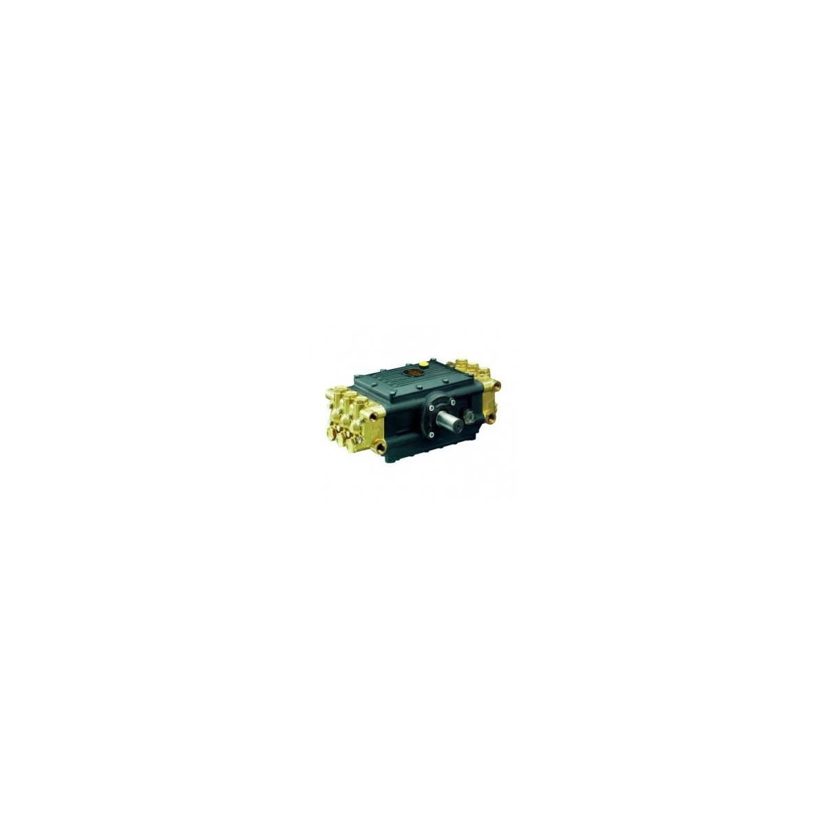 pompa-interpump-ws-135